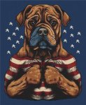 (image for) Patriotic Bulldog